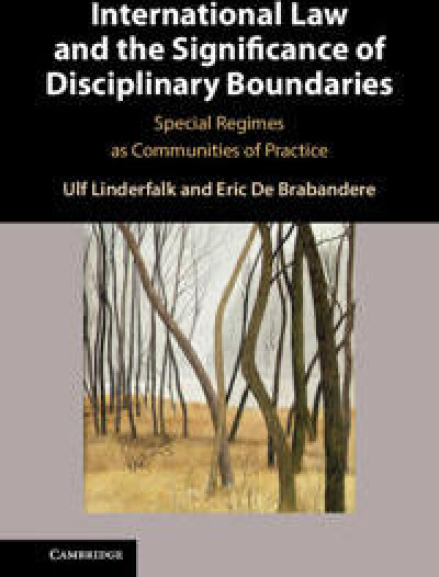 International Law and the Significance of Disciplinary Boundaries