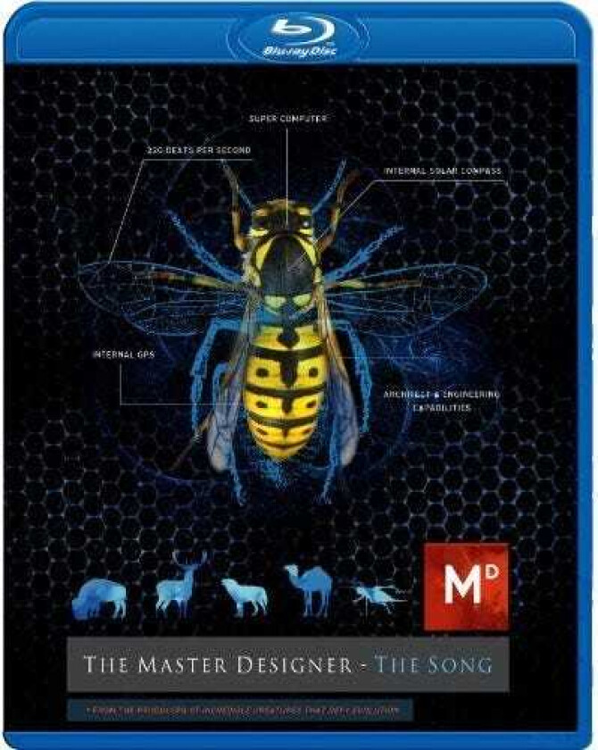 The Master DesignerThe Song Bluray
