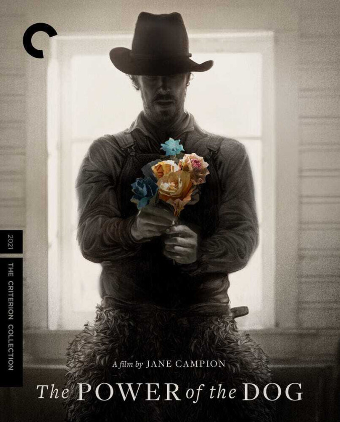 Power Of The Dog Bluray