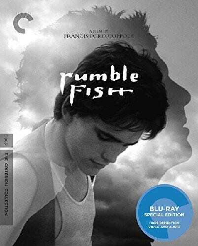 Rumble Fish Bluray