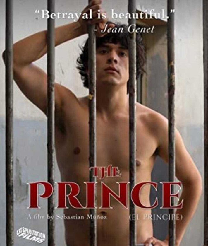 Prince (2019) Bluray