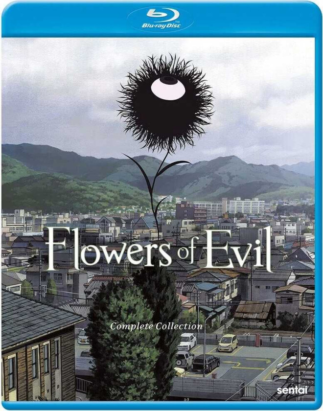 Flowers Of Evil Bluray