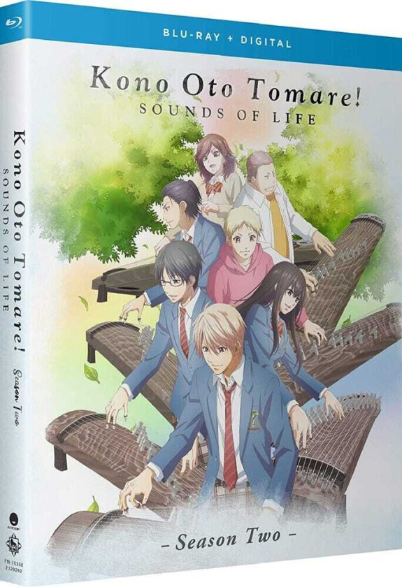 Kono Oto Tomare: Sounds Of Life Sesong 2 Bluray