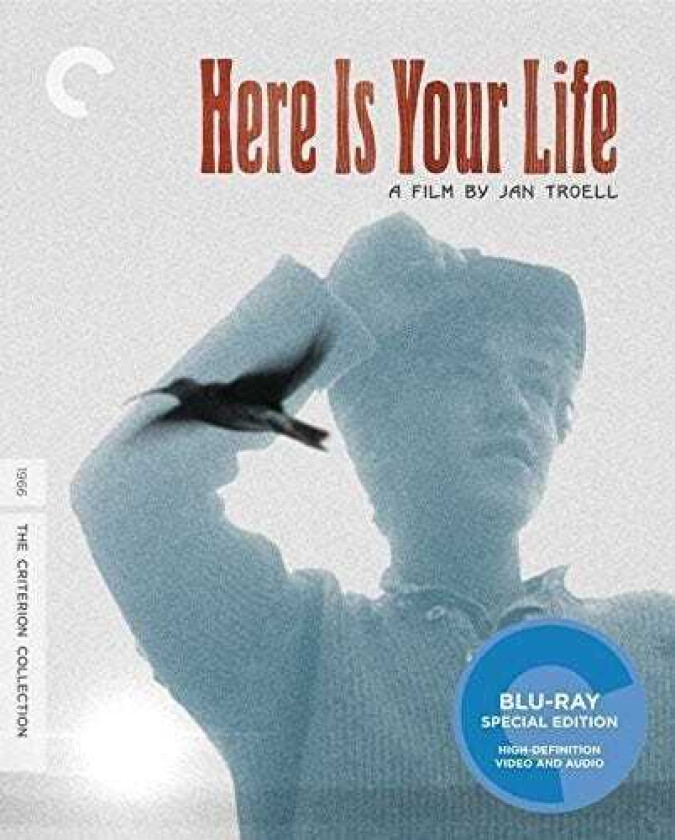 Here Is Your Life Bluray