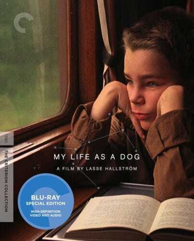 My Life As A Dog Bluray