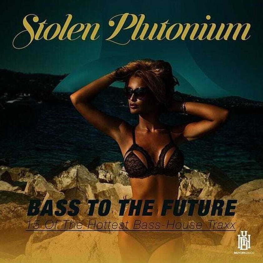 Stolen Plutonium Bass To The Future: 15 CD