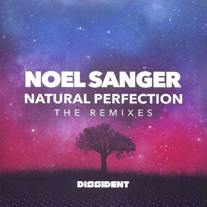 Noel Sanger Natural Pefection (the Remixes) CD