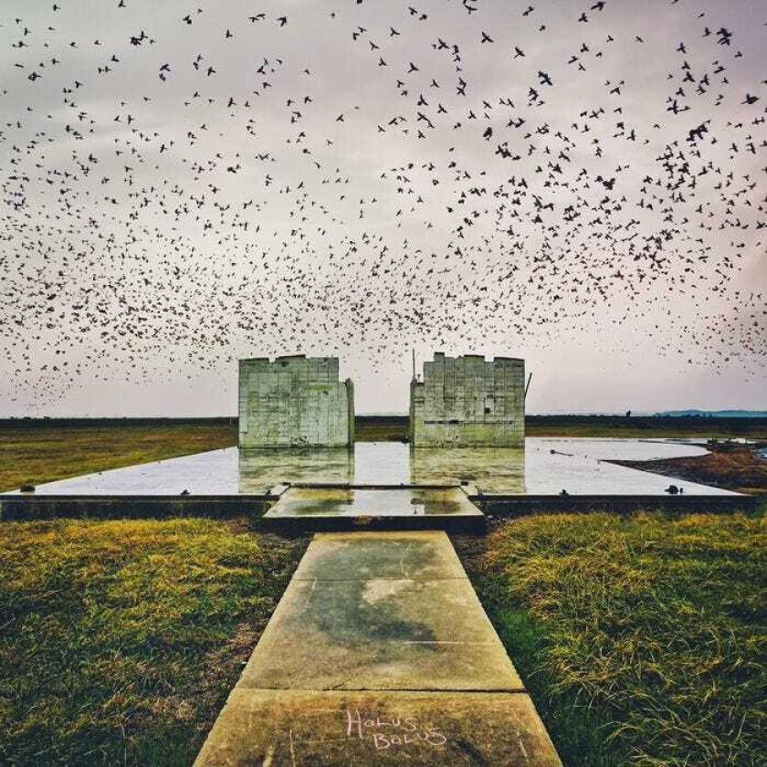 Lord Buffalo Holus Bolus CD