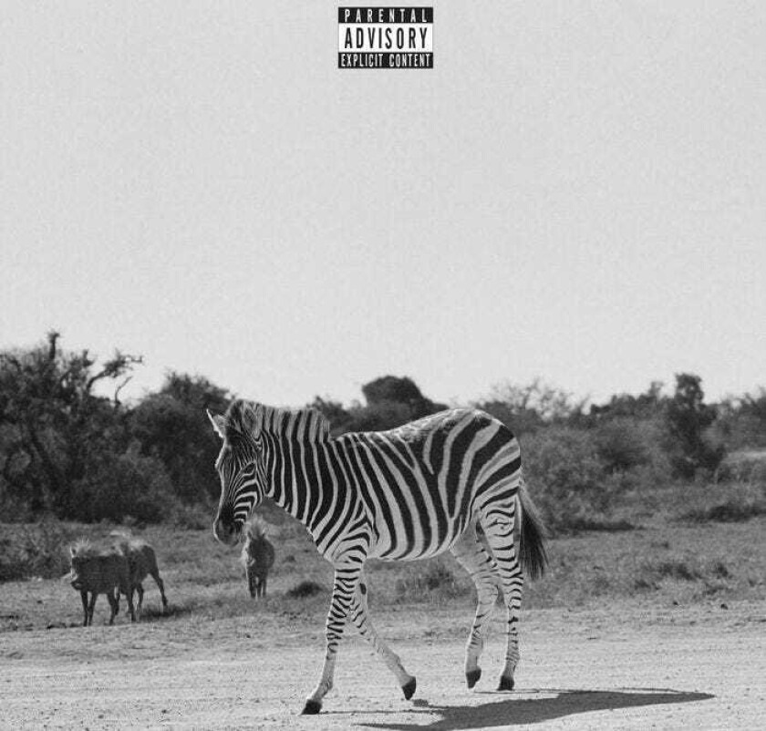 Louis VI Earthling LP/Vinyl