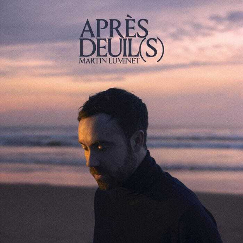 Diverse Artister Apres Deuil(s) LP/Vinyl