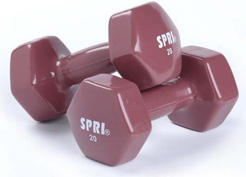 Dumbbells Vinyl, pair - 9,1 kg