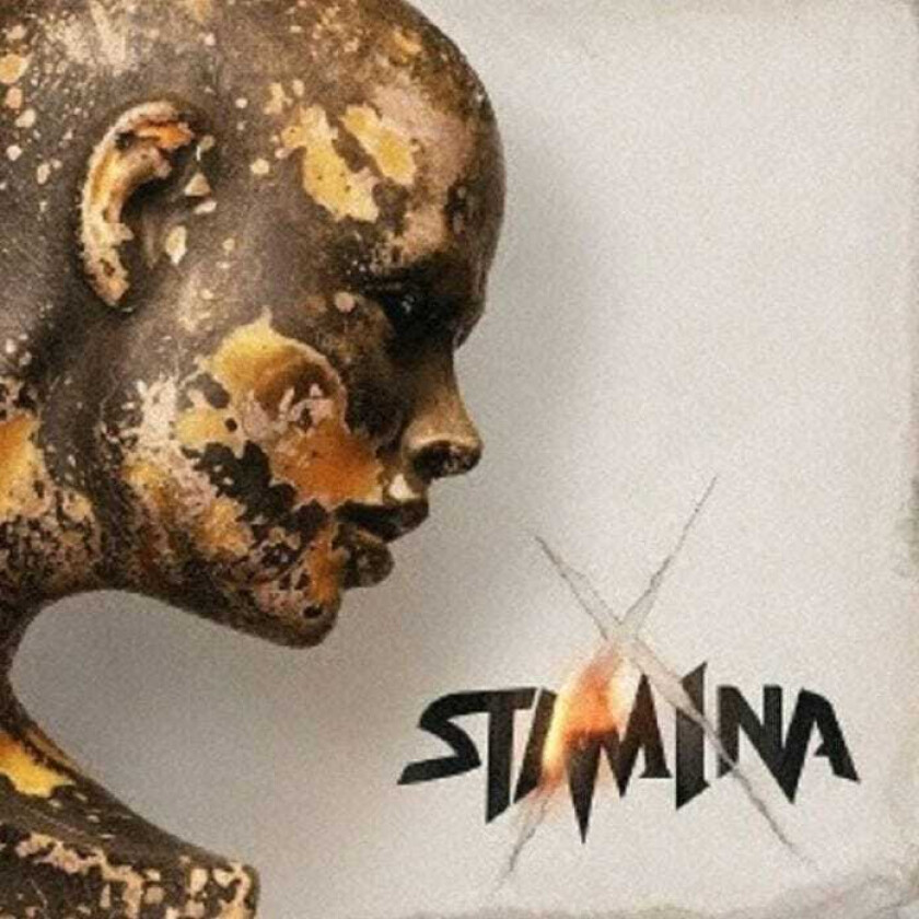 Stam1na X. LP/Vinyl