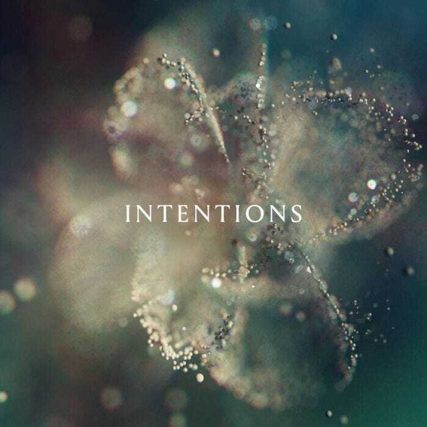 Anna Intentions LP/Vinyl