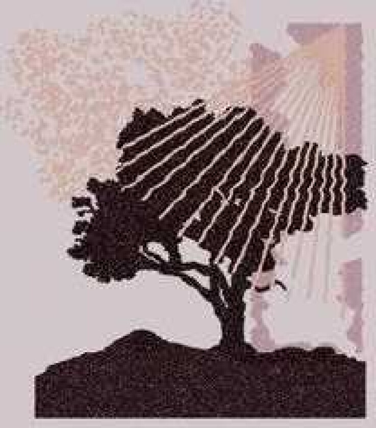 Land Of Talk Performances LP/Vinyl