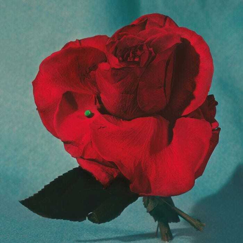 METZ Up On Gravity Hill LP/Vinyl