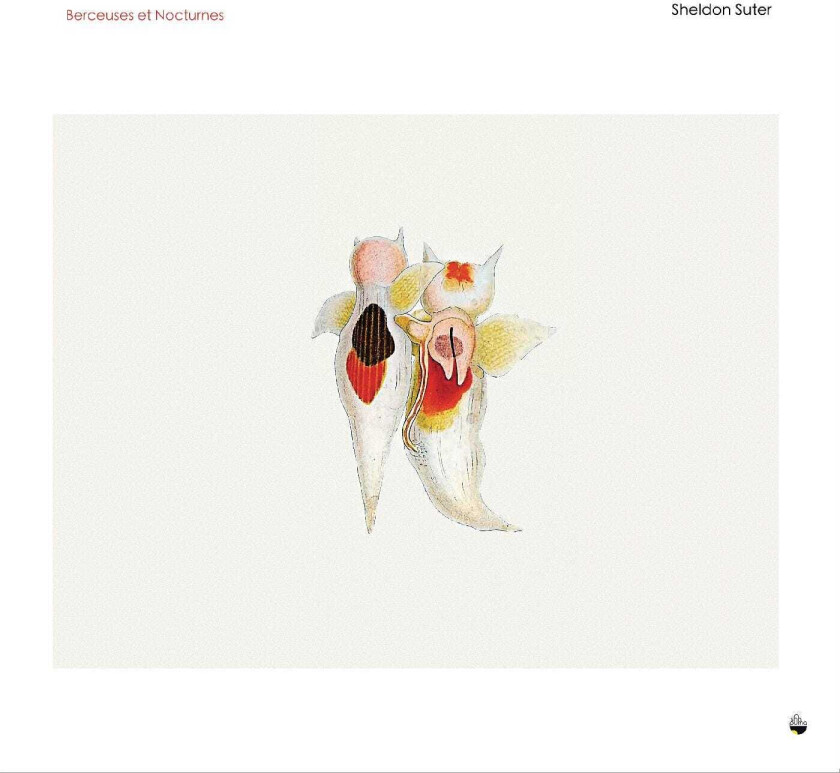 Fritz Hauser, Pedro Carneiro PAS DE DEUX CD