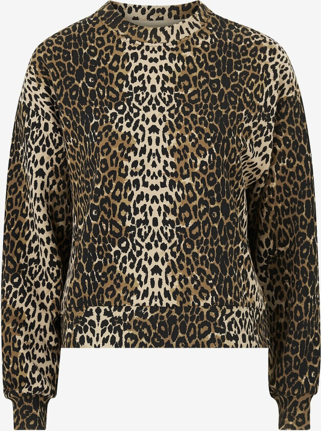 Collegegenser EliSW - Brun