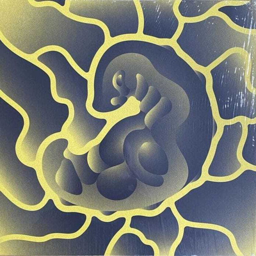 Forest Drive West They Live: Remixed LP/Vinyl