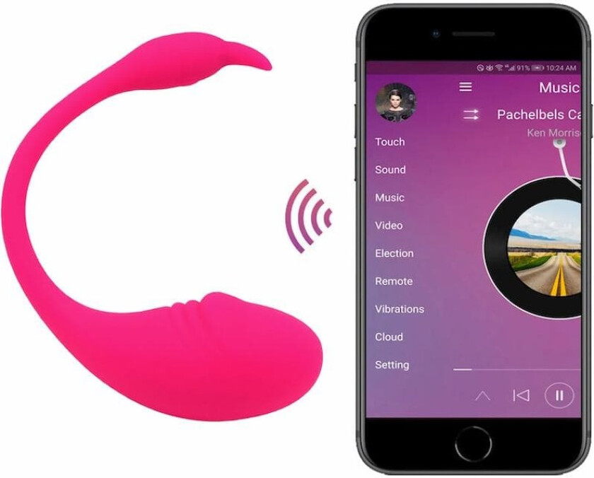 Fjärrstyrd vibrator för behagligt förspel, 10 hastigheter
