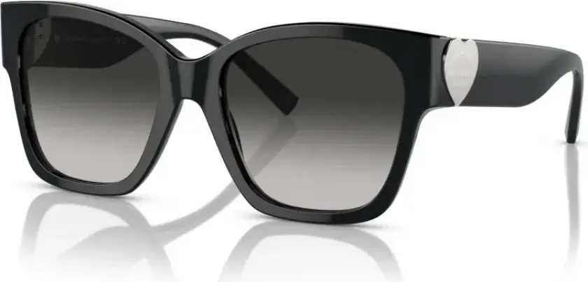 Dame, Accessories, Svart, 54 MM