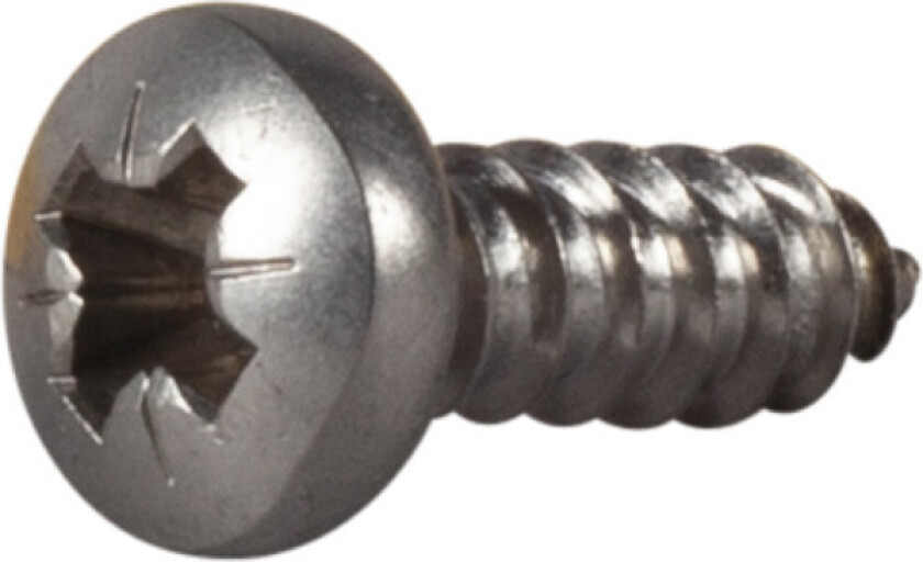 Plateskrue panhode philips ph rustfritt stål ø: 13mm l: 13mm ant: 10stk