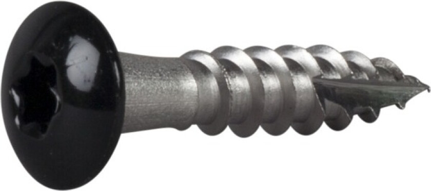 Takrenneskrue panhode torx rustfritt stål ø: 5mm l: 25mm ant: 250stk svart