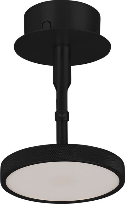 Asteria Spot Taklampe Black