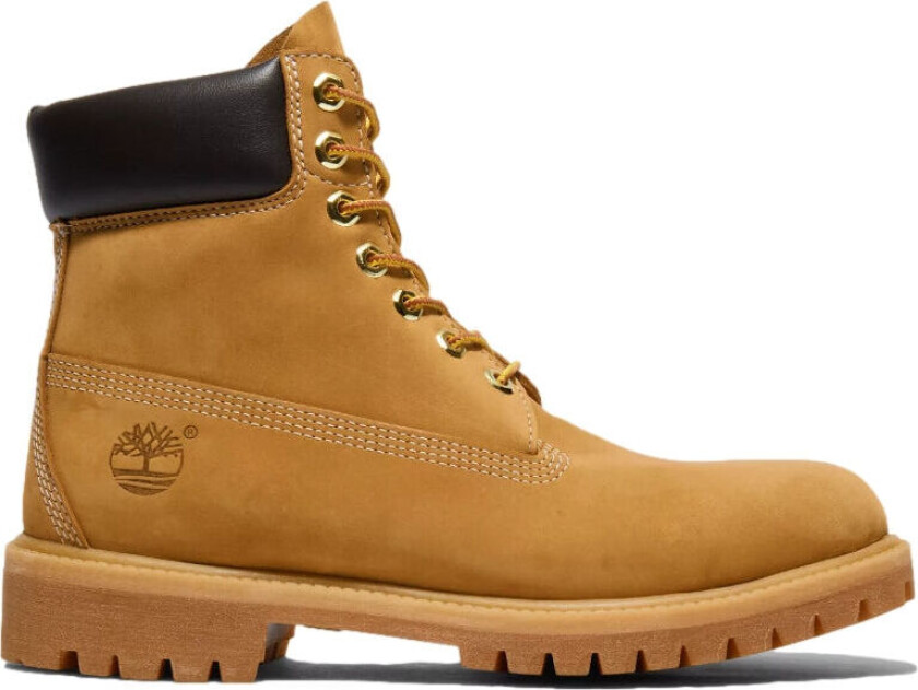 6 Inch Premium Boot Sko Gul Gul female 38,5