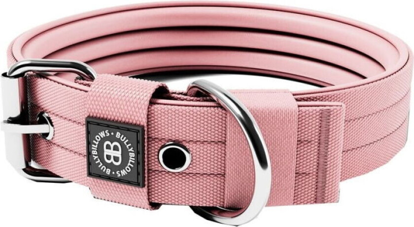 Hundehalsbånd med Spenne Rosa 4 cm (L)