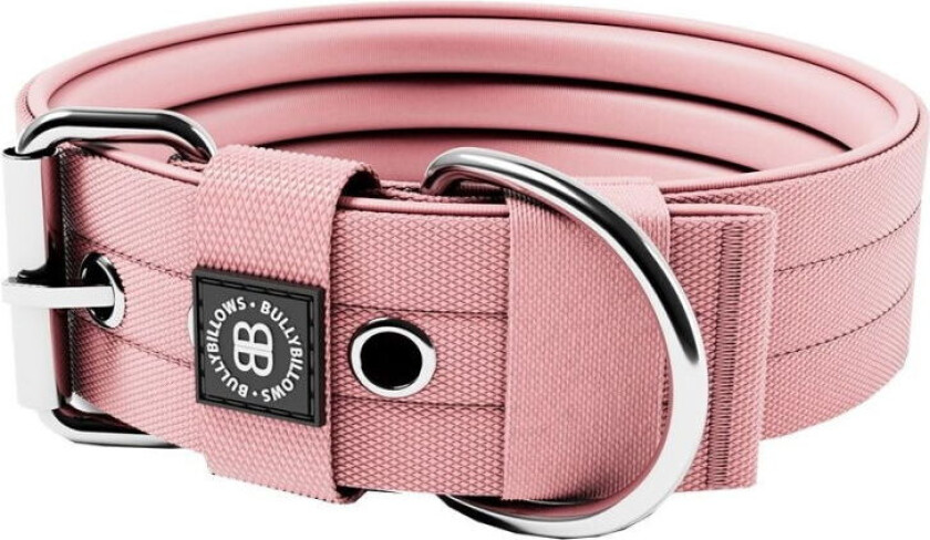 Hundehalsbånd med Spenne Rosa 5 cm (M)