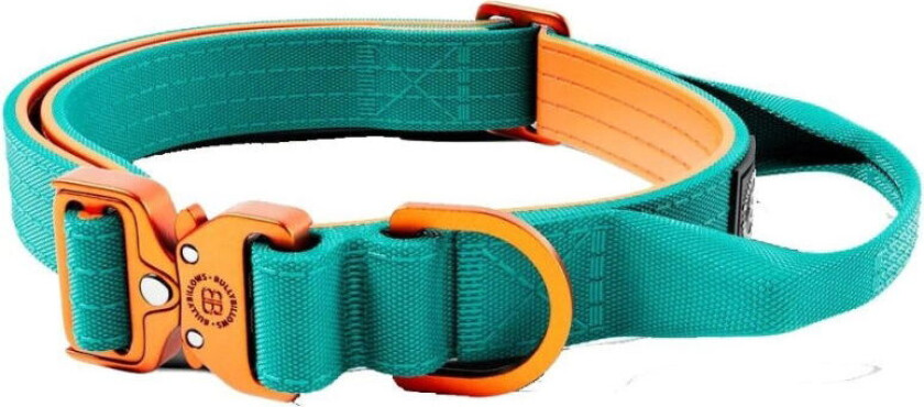 Combat Hundehalsbånd med Håndtak Turkis & Oransje 2,5 cm