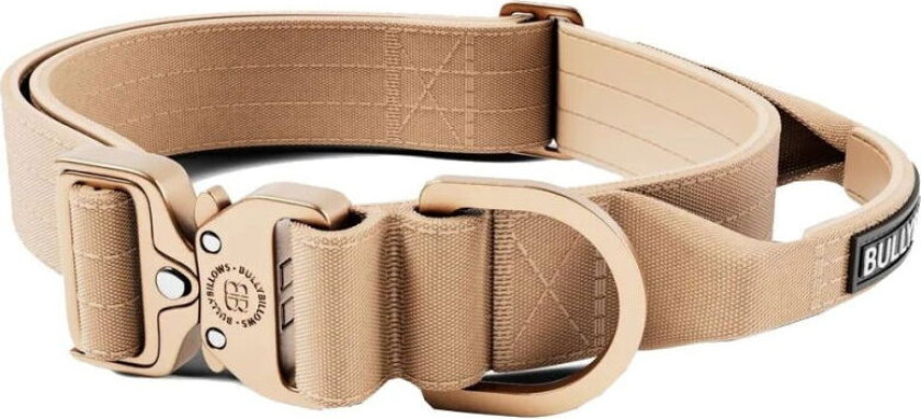 BullyBillow Combat Hundehalsbånd med Håndtak Beige 4 cm (M)