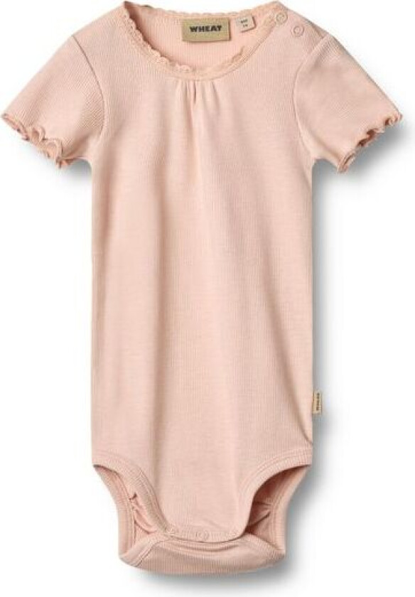 Rib Body Edna Powder