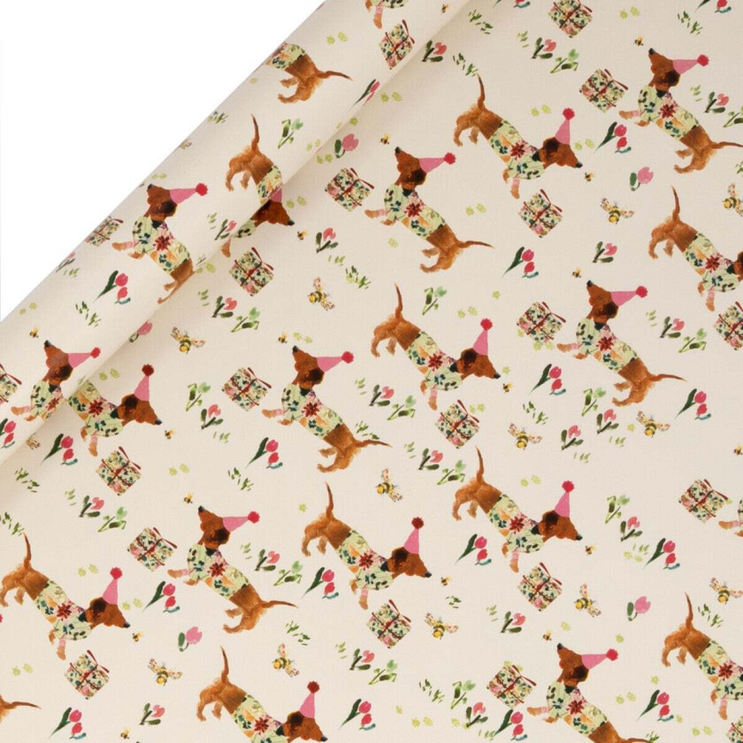 Gavepapir 4m Birthday Sausage