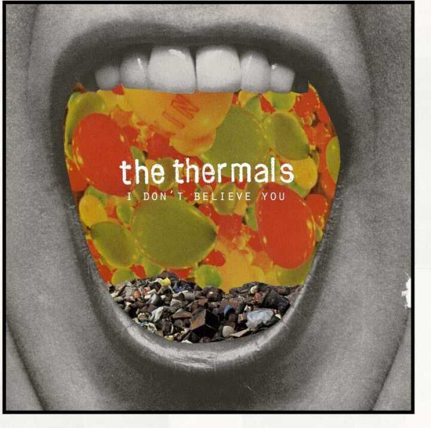 The Thermals I Don't Believe You 7 Inch LP/Vinyl