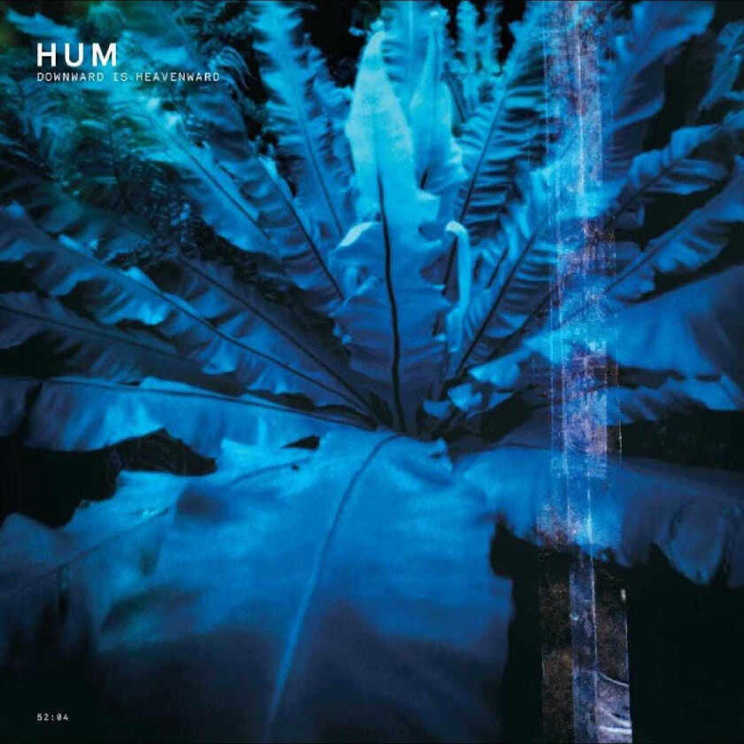 Hüm Downwards Is Heavenward LP/Vinyl