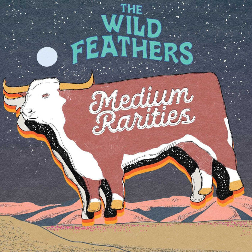 The Wild Feathers Medium Rarities LP/Vinyl