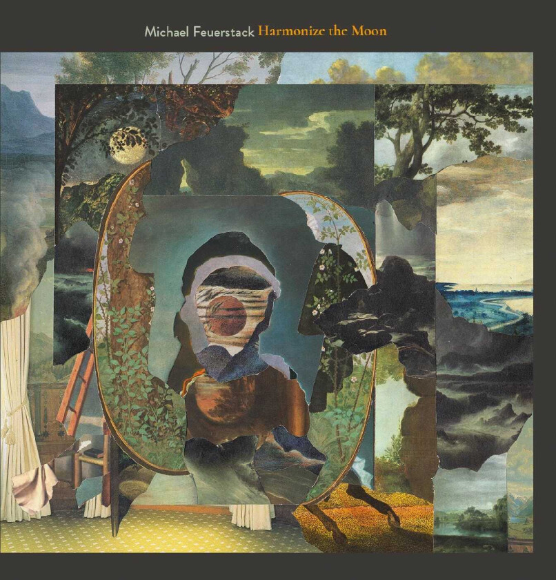Michael Feuerstack Harmonize The Moon LP/Vinyl