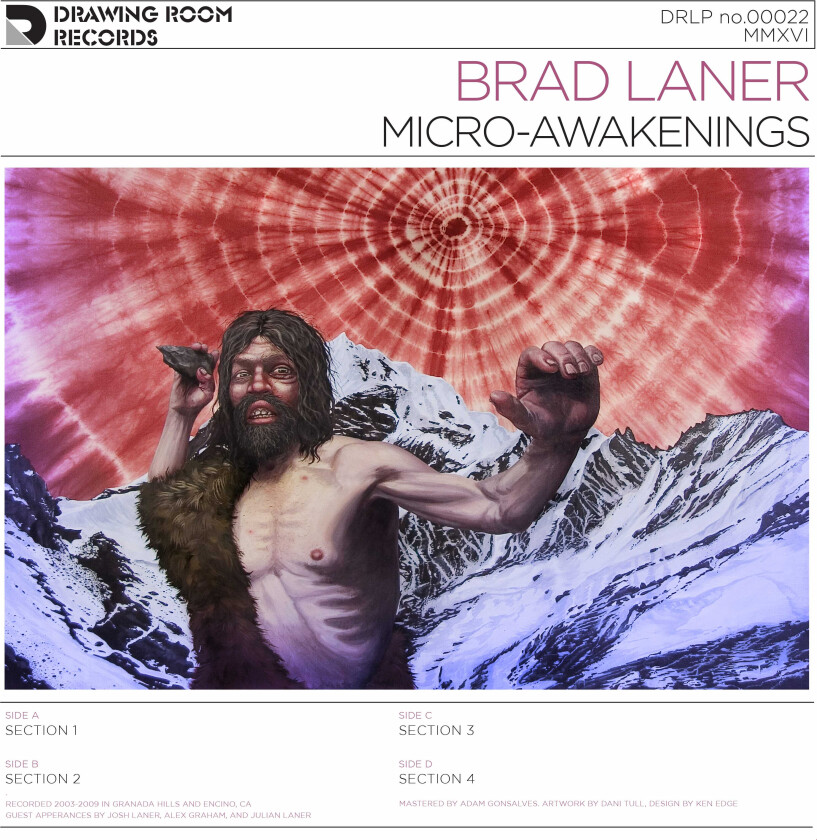 Brad Laner MicroAwakenings LP/Vinyl