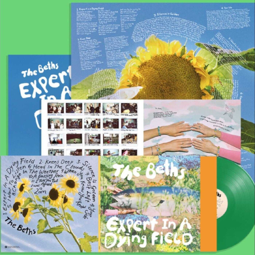 The Beths Expert In A Dying Field LP/Vinyl