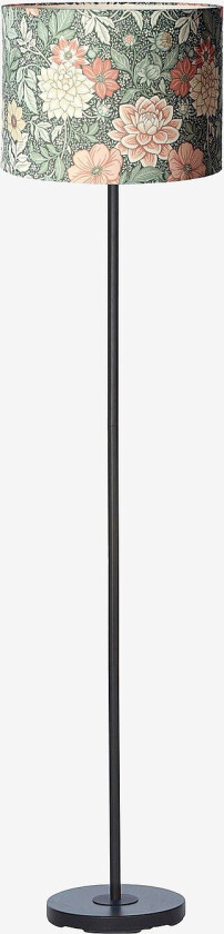 Gulvlampe Amy svart - Grønn