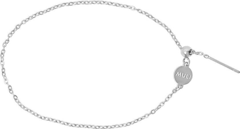 Charm Bracelet Silver
