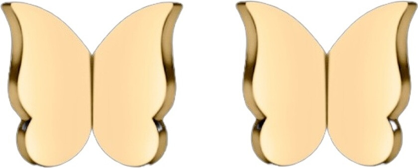 Butterfly Studs Gold