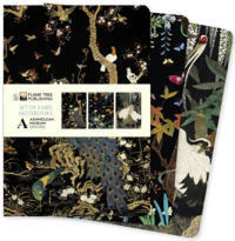 Ashmolean Museum Set of 3 Midi Notebooks