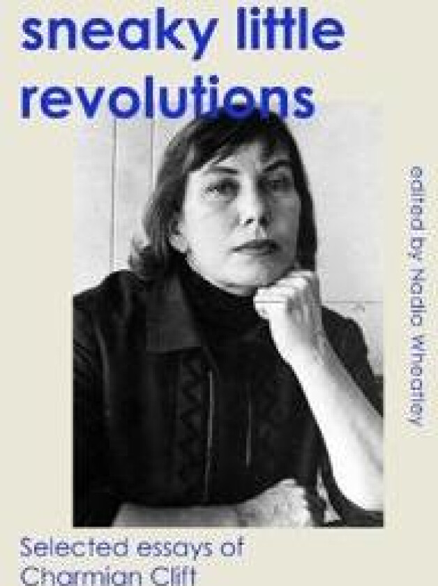 Sneaky Little Revolutions