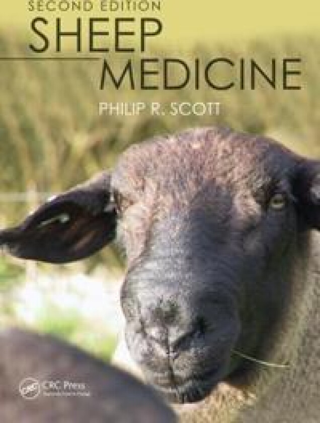 Sheep Medicine