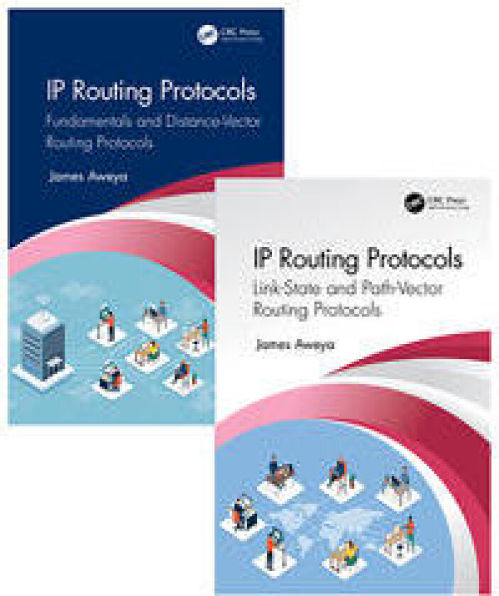 IP Routing Protocols