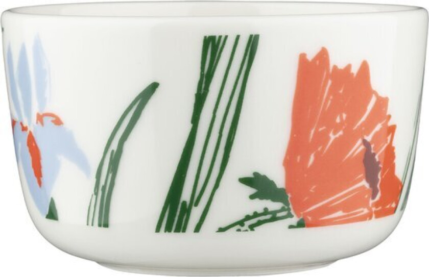 Puutarhakutsut bolle 25 cl hvit/grønn/oransje