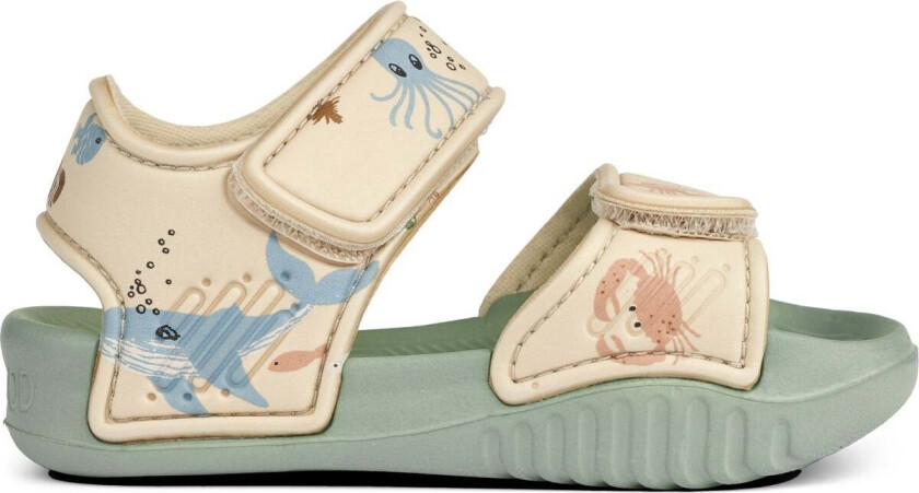Blumer Sandaler, Sea Creature/Sandy, 26 - Sandaler & Slippers