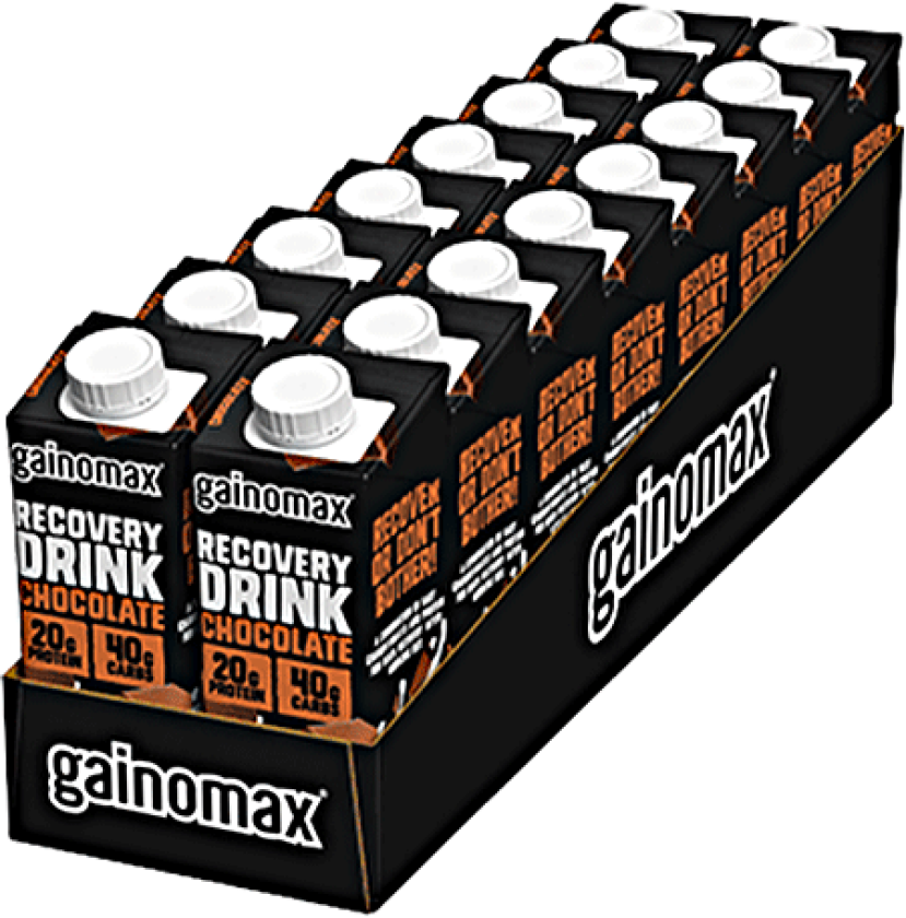 16 x Gainomax Recovery 250 ml Chocolate